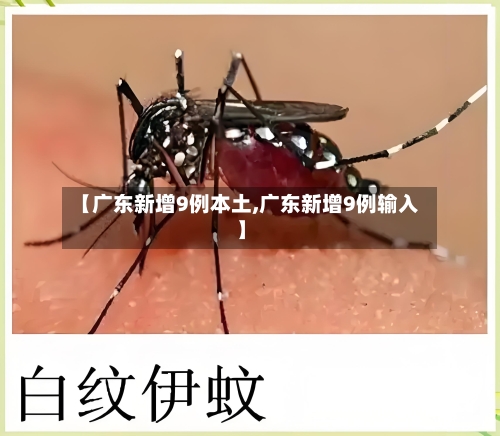 【广东新增9例本土,广东新增9例输入】-第3张图片