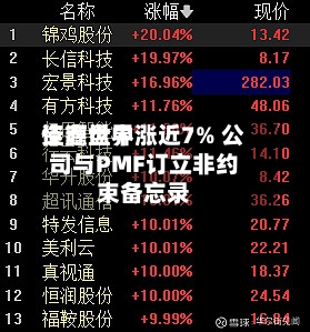 佳鑫世界资源盘中涨近7% 公司与PMF订立非约束备忘录-第2张图片