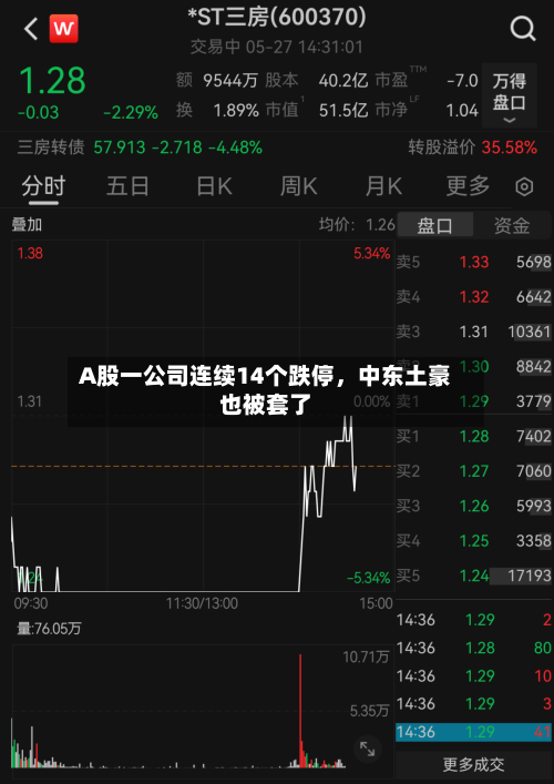 A股一公司连续14个跌停，中东土豪也被套了